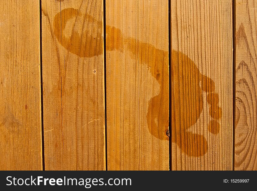 Footprints On Wood