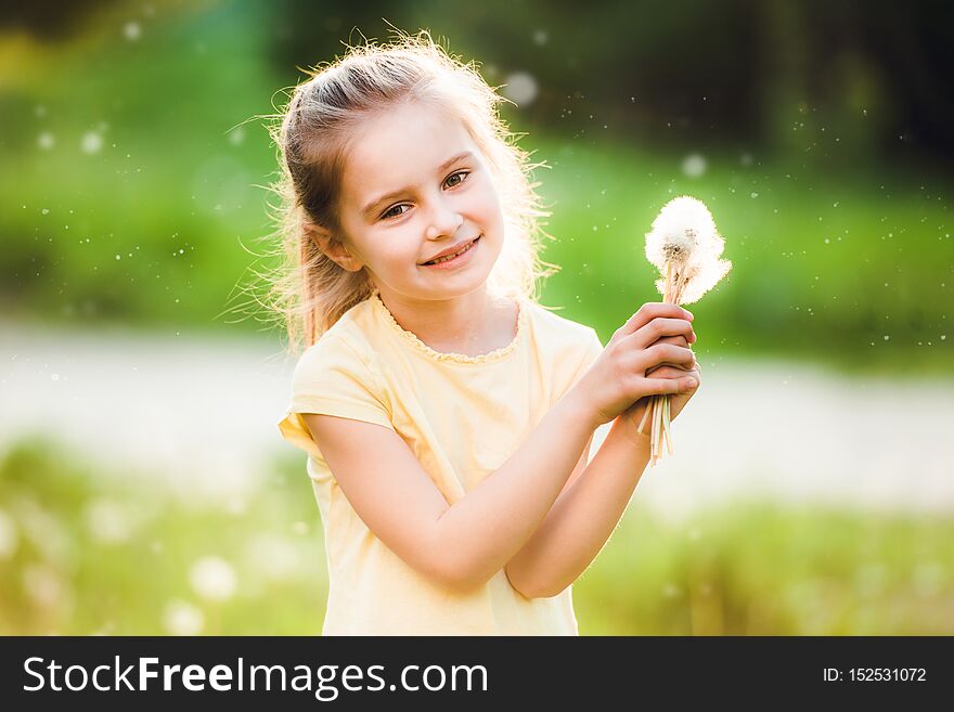 Cute little girl in sunny summer day at green meadow collecting white flowers. Cute little girl in sunny summer day at green meadow collecting white flowers