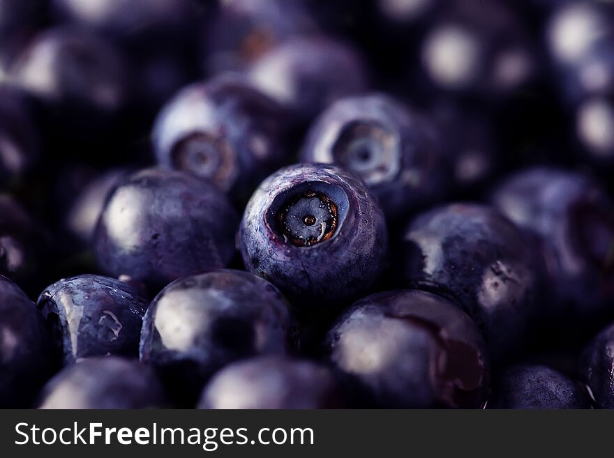 Blueberry blueberries background, close-up