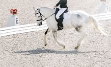 Dressage Horse And Rider In Black Uniform Stock Photo Dressage Horse And Rider In Black Uniform Stock Photo