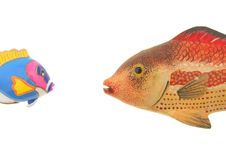 Two Model Fish Royalty Free Stock Images Two Model Fish Royalty Free Stock Images