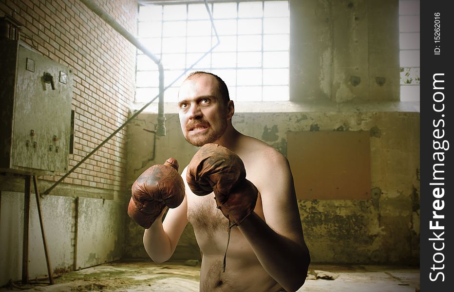 Portrait of a boxer with aggressive expression