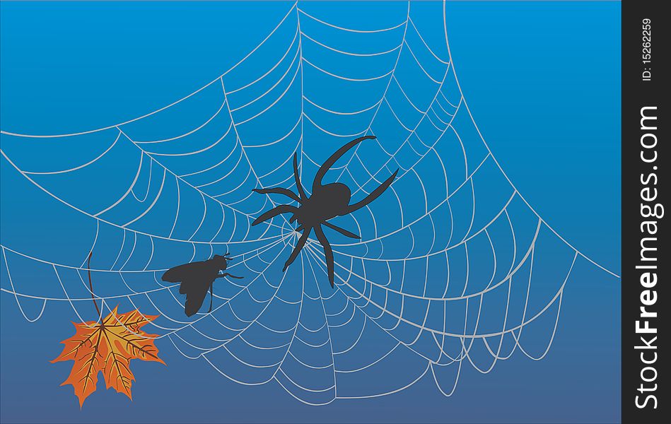 Illustration with spider web and fly. Illustration with spider web and fly