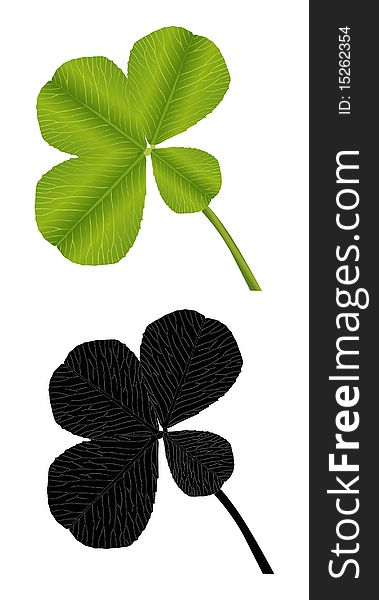 Green and black illustration with clower leaves. Green and black illustration with clower leaves