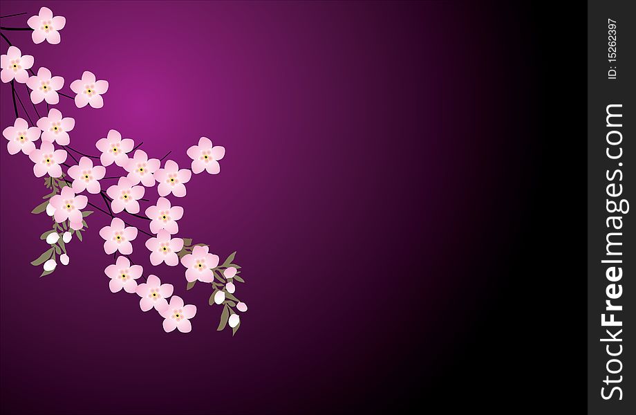 Pink Flowers On Dark Lilac Background