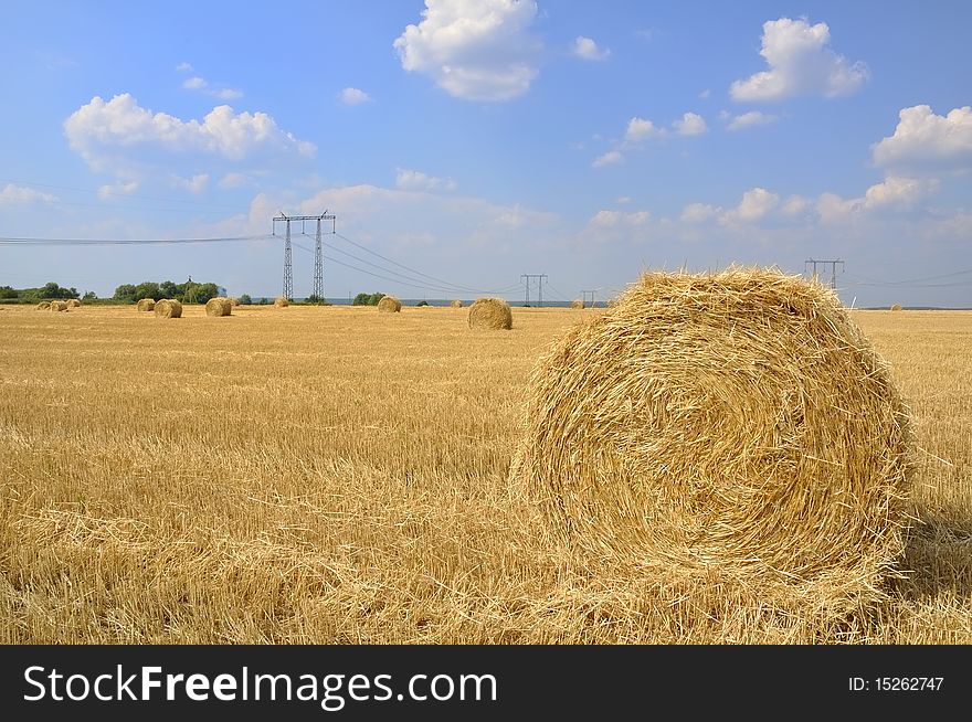 Hay rolls harvested in late summer