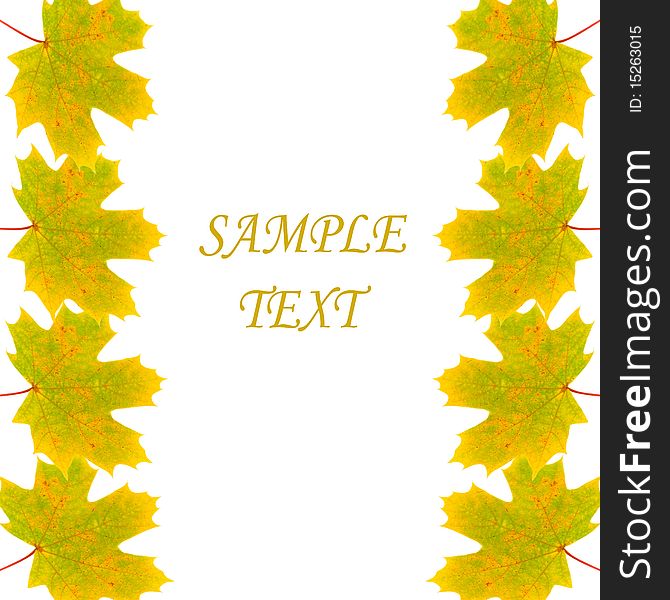 Frame of autumn maple leaves on white background