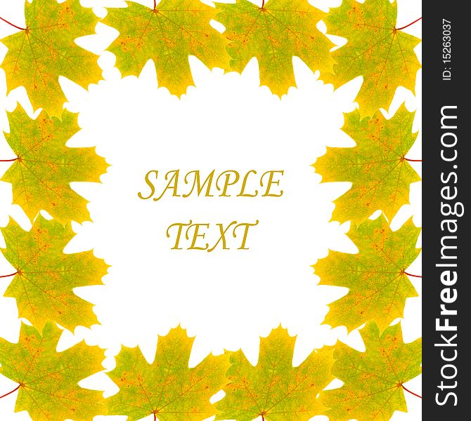 Frame of autumn maple leaves on white background