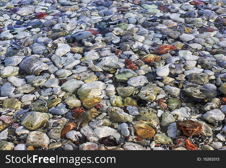 Multi colored pebbles under the crystal clear Mediterranean sea. Multi colored pebbles under the crystal clear Mediterranean sea