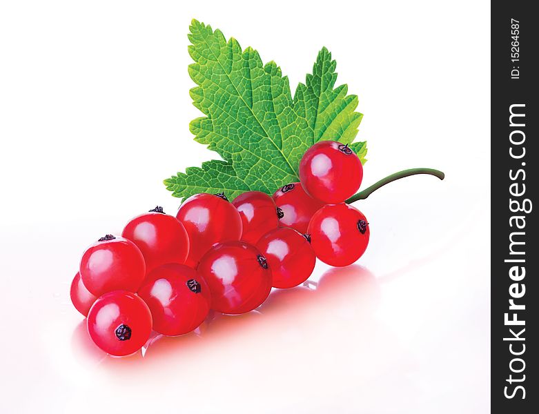 Bunch of red currants on a white background