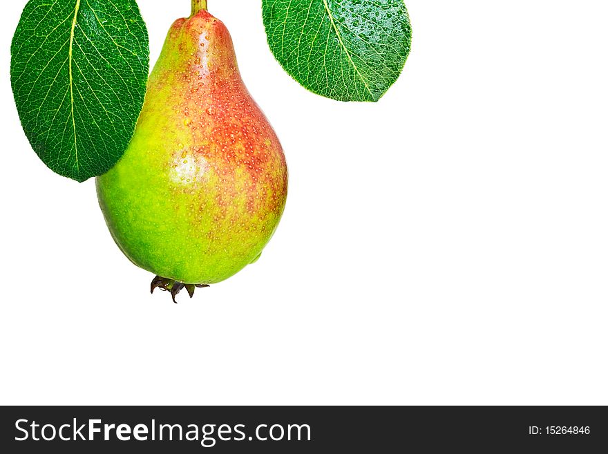 Fresh pear with greeen leaves