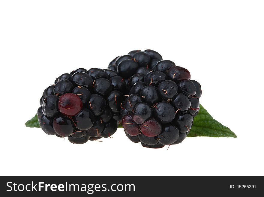 Blackberry - a berry of black colour with a green leaf on a white background.