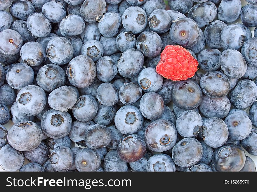 Fresh Blueberries And Raspberry