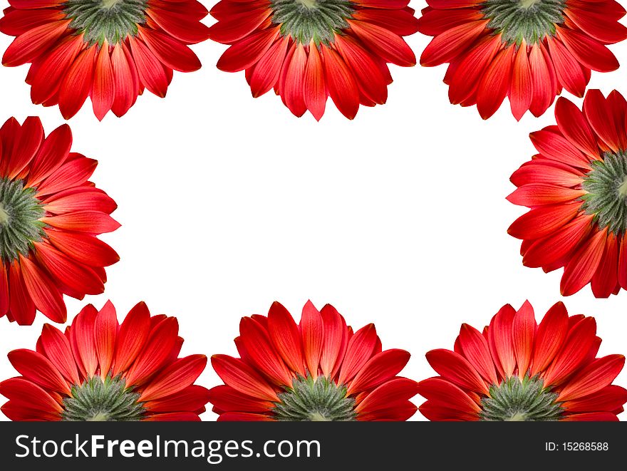 Frame of red flowers isolated on white background