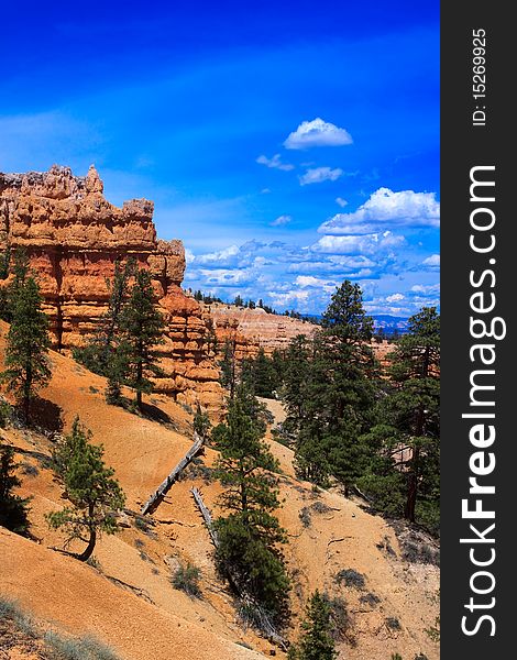 Landscape of Bryce Canyon Rim Trail Utah