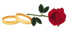 Rose And Two Wedding Rings. Royalty Free Stock Photo Rose And Two Wedding Rings. Royalty Free Stock Photo