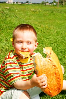 Bread Royalty Free Stock Photos Bread Royalty Free Stock Photos