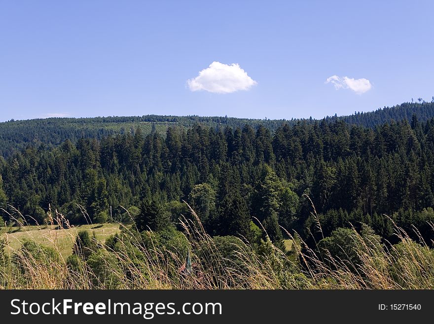 Colorful Landscape in the Black-forest, Germany