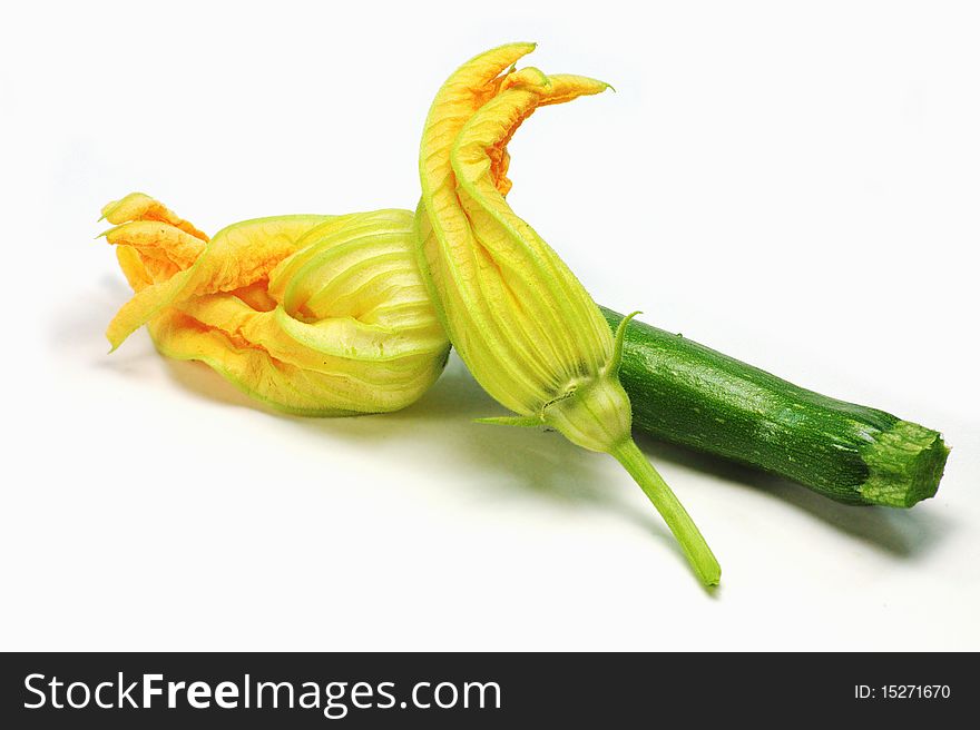 Zucchini with bloomed flowers on white background. Zucchini with bloomed flowers on white background.