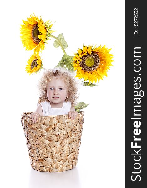 Baby girl in sunflowers pot