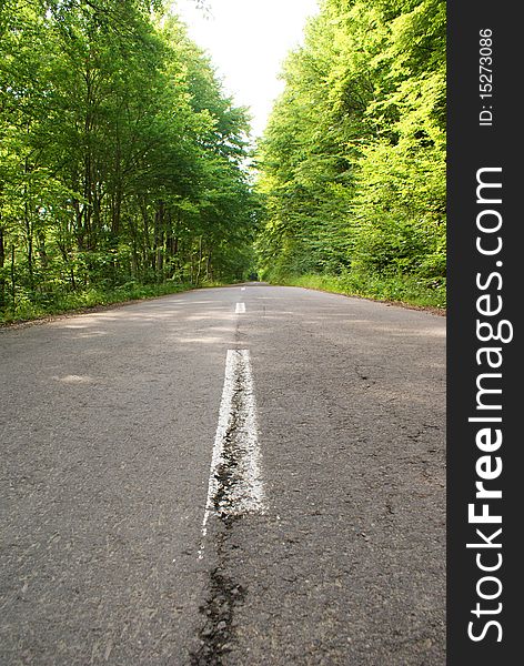 Standing in the middle of the mountain road