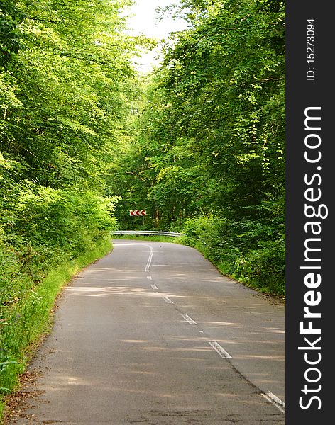 New mountain road and trees