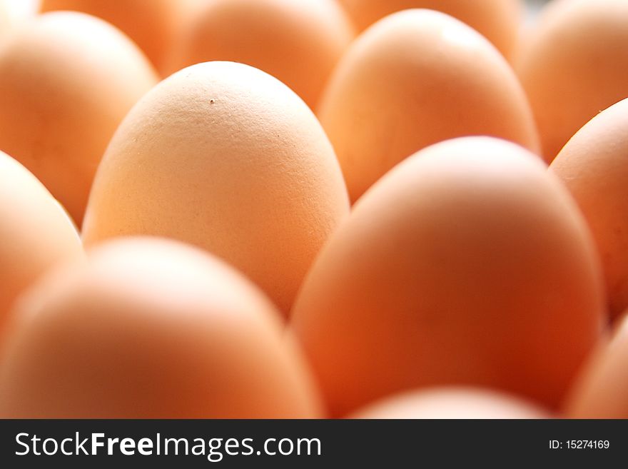 Close Up Shot Of Eggs With Shallow Depth Of Field
