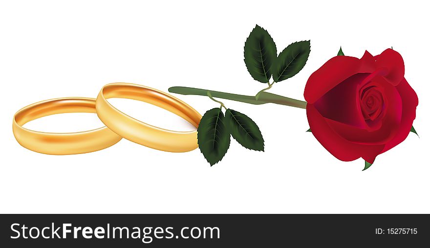 Rose and two wedding rings.
