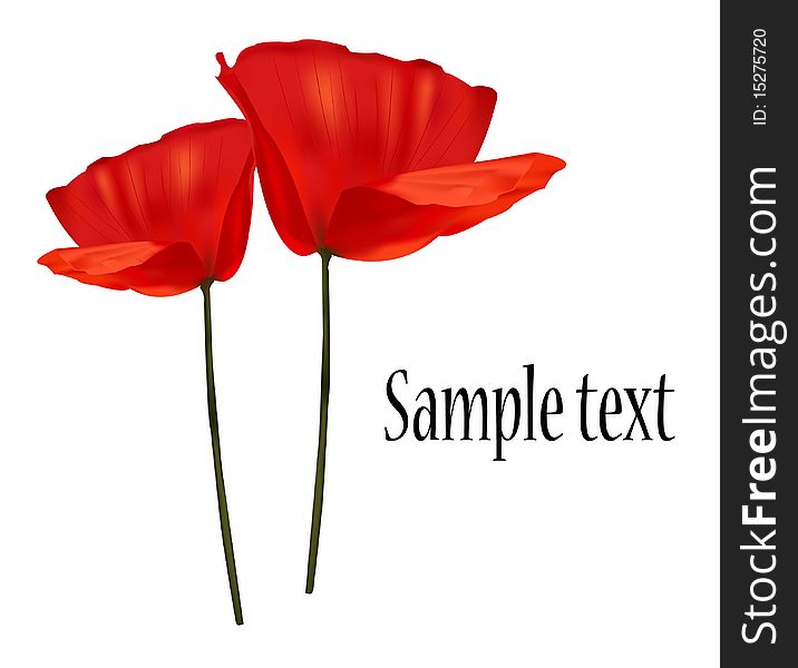 Photo-realistic illustration. Greeting card with two red poppies.