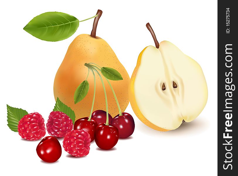 Photo-realistic  illustration. Pears and group of berries.