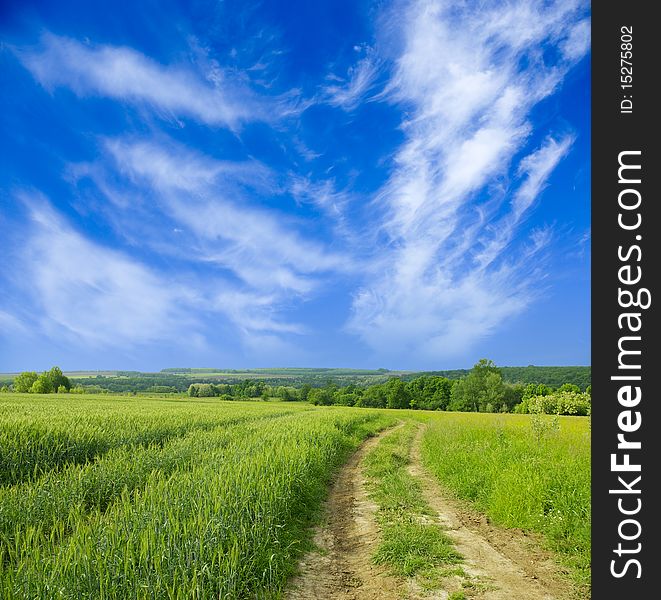 Rural dirt road through the field. Rural dirt road through the field