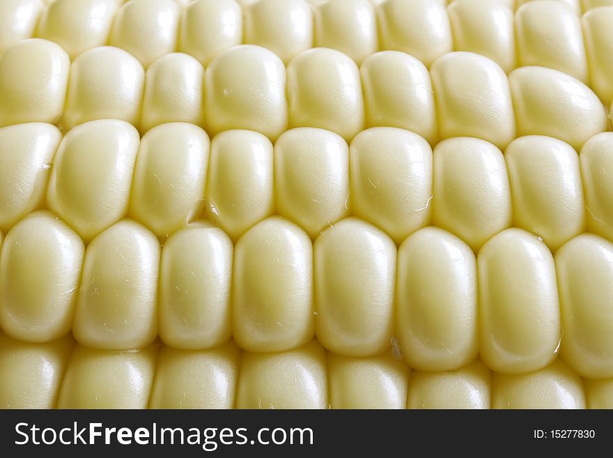 A background of  corn on the cob. A background of  corn on the cob