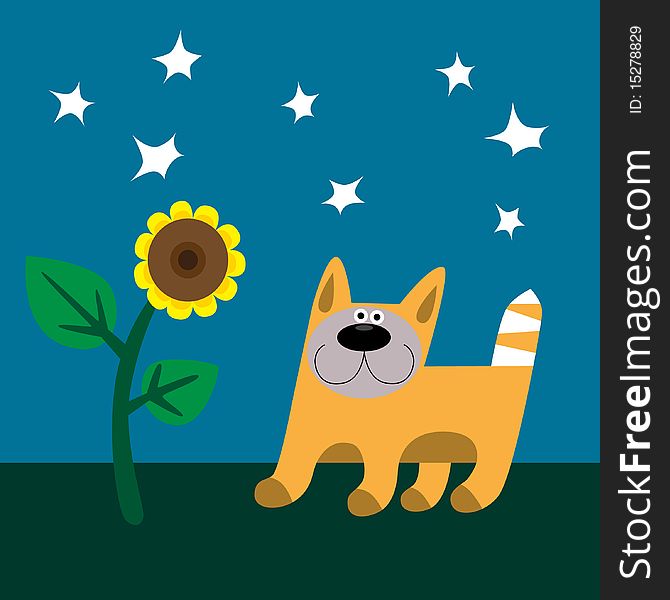 Cat walking at the night and sunflower. Cat walking at the night and sunflower