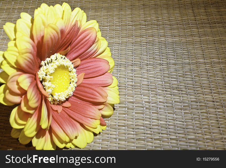 This image shows a flower on a mat. This image shows a flower on a mat