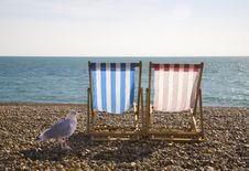 Seagul And Deckchairs, Brighton Royalty Free Stock Photos
