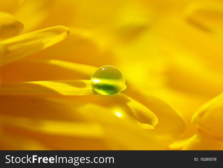 Water bubble on the yellow flower petals