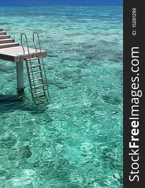 A ladder leading into the crystal-clear turquoise sea and coral reef. A ladder leading into the crystal-clear turquoise sea and coral reef