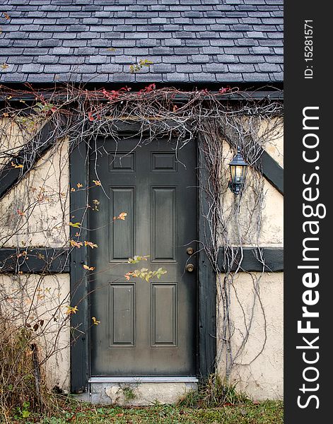 Vine covered doorway