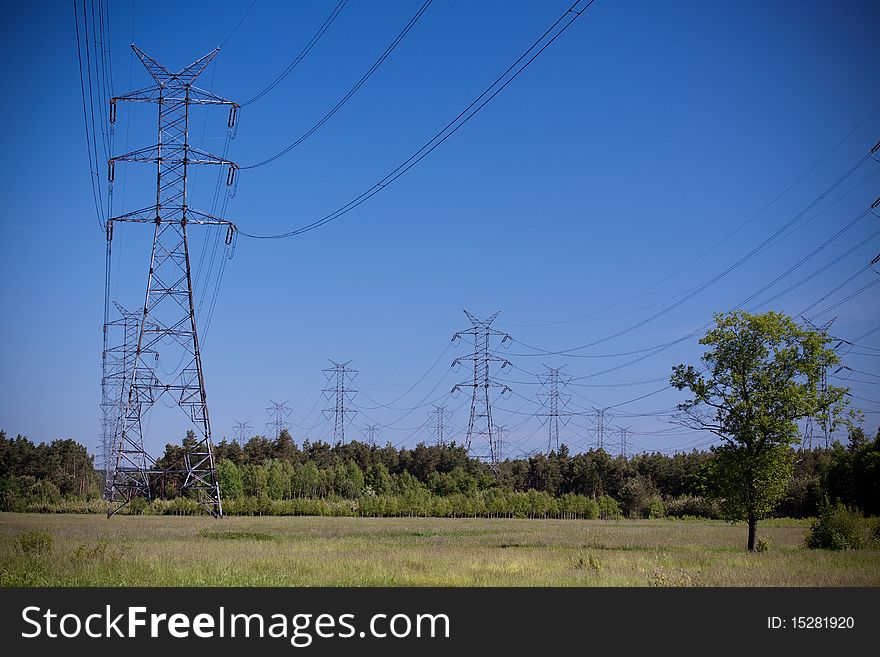 Power lines on blue sky with green trees