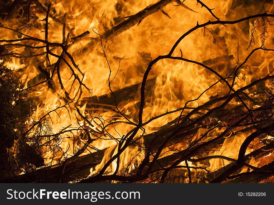 Closeup of the blazing fire of dry forest. Closeup of the blazing fire of dry forest.