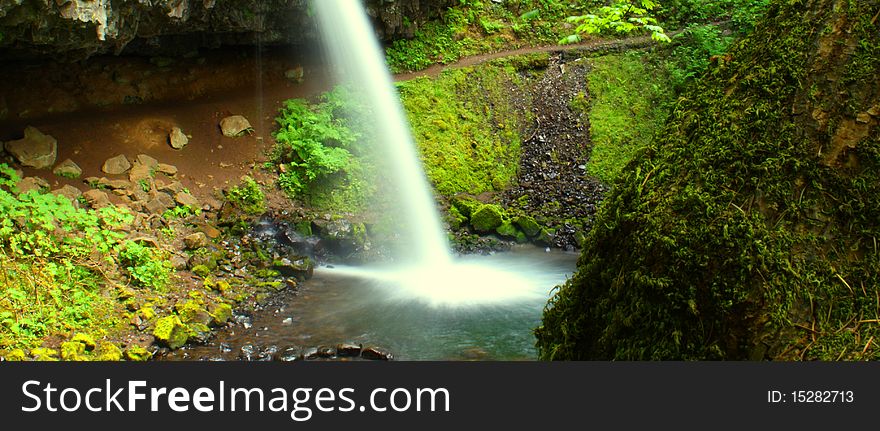 Ponytail Falls in the Columbia River Gorge near Portland, OR. Tree with moss in foreground, slow frame falls in back.