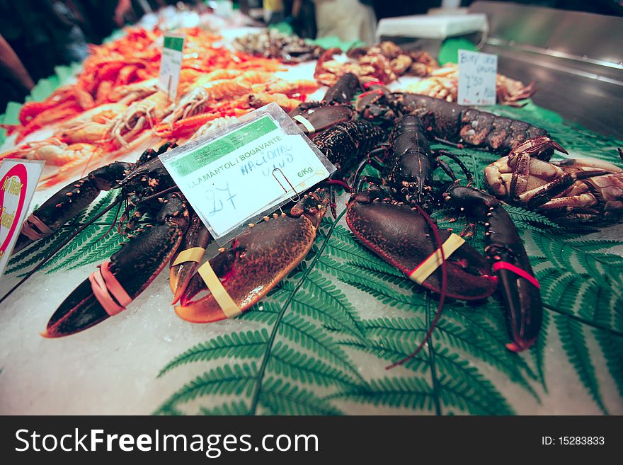 Fresh lobster and prawn for sale. Fresh lobster and prawn for sale