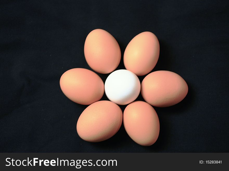 Abstract photo of six brown eggs encircling one white egg. Abstract photo of six brown eggs encircling one white egg.