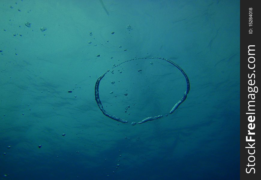 Reef of chinchorro banks mexico. Reef of chinchorro banks mexico