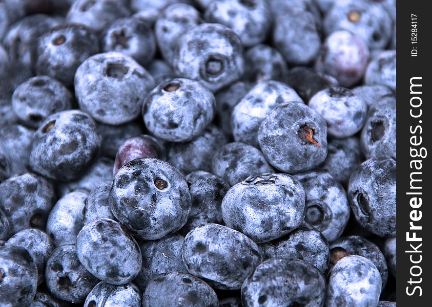 Full frame filled with fresh blue berries. Full frame filled with fresh blue berries