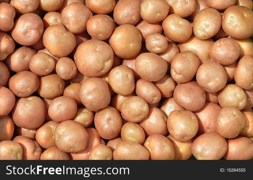 Potato tubers of a new crop