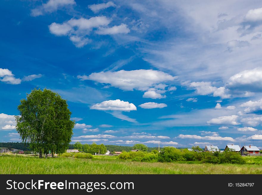 Green grass and blue sky. Horizontal image. Green grass and blue sky. Horizontal image