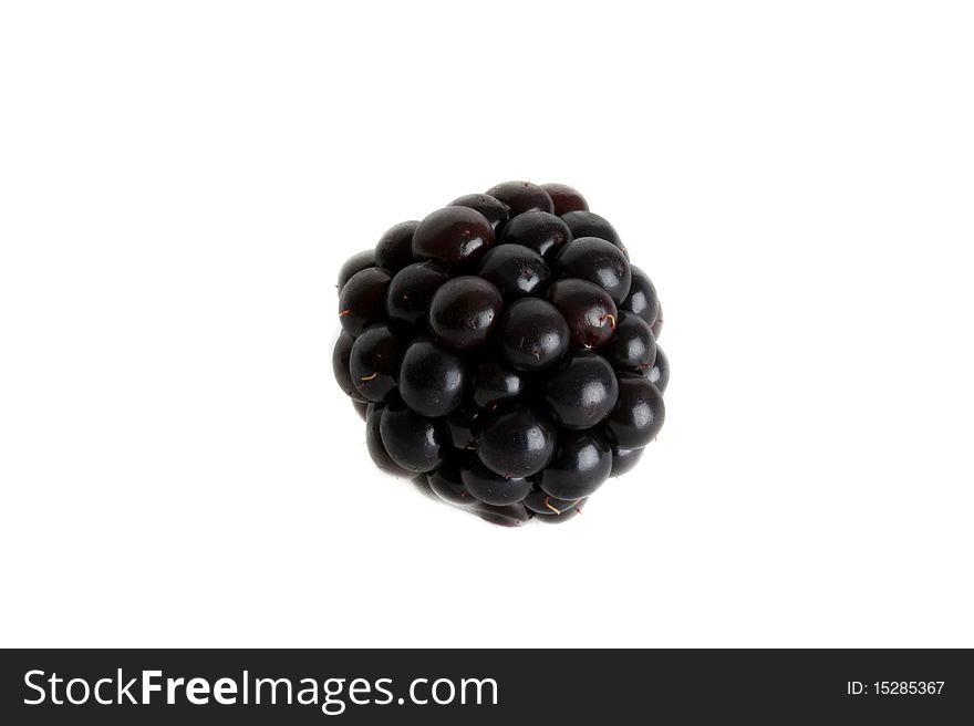 Delicious fresh Blackberries against a white background