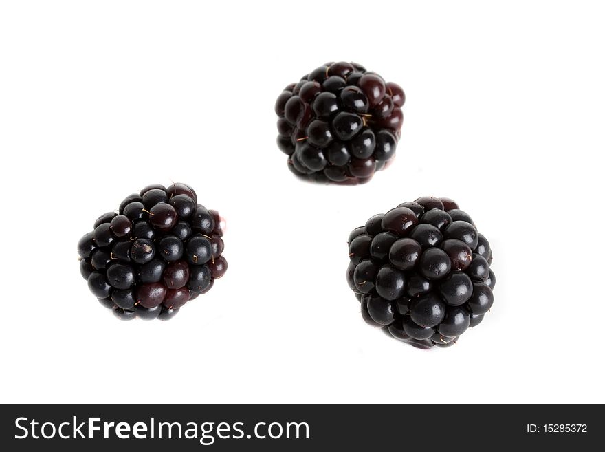 Delicious fresh Blackberries against a white background