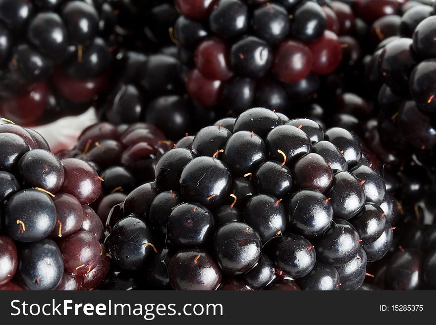 Delicious fresh Blackberries against a white background